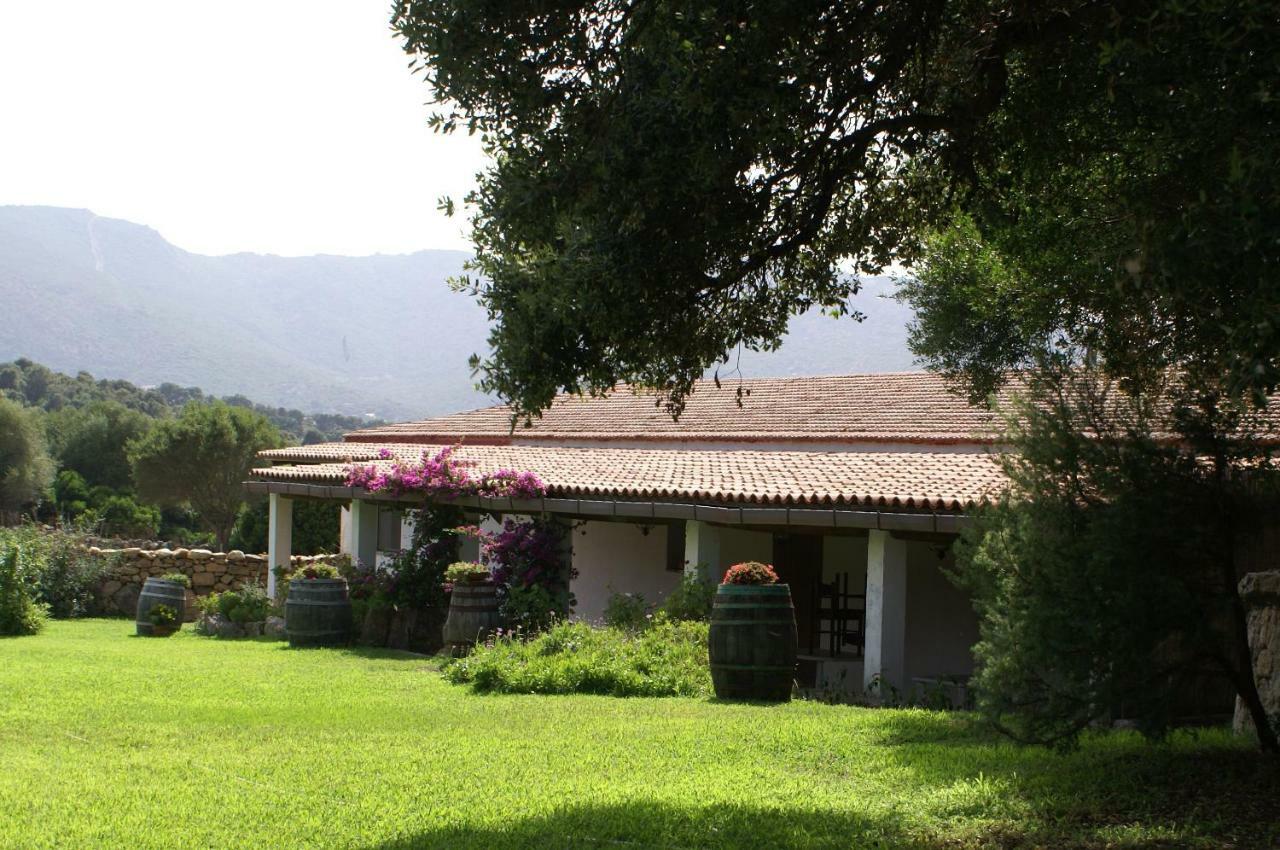 Agriturismo Su Pirastru Villa Sa Castanza Exterior photo